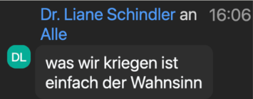 Chat-Stimme: was wir kriegen ist einfach der Wahnsinn